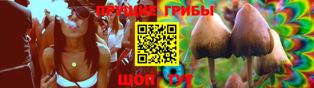 Арсеньев  Псилоцибиновые грибы MAGIC MUSHROOMS  Вход с VPN 